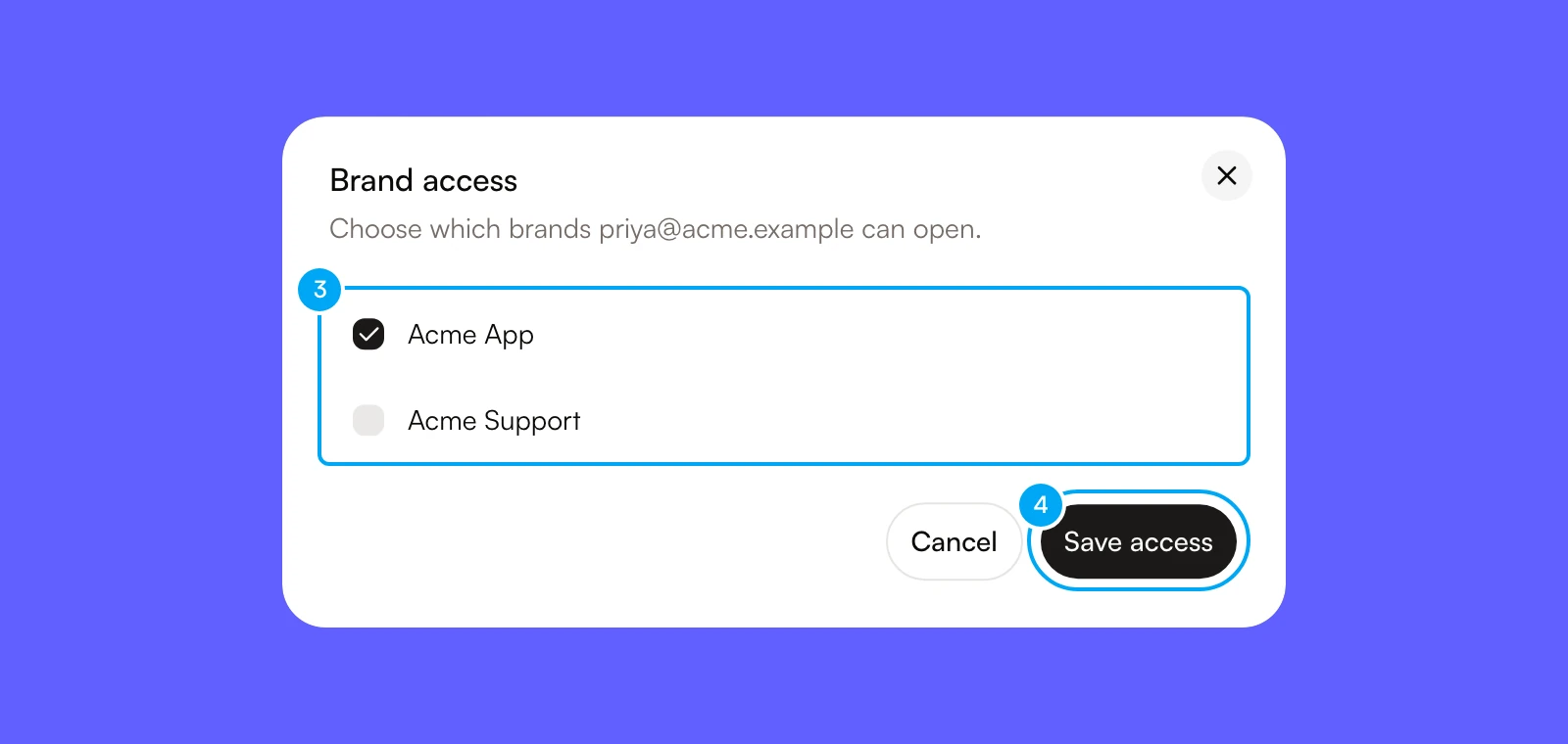 The Brand access dialog with a checkbox for each brand and the Save access button.